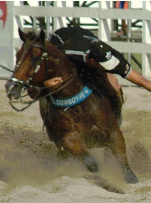 Apolo Eclipse - Tido por muitos como um dos melhores, ou o melhor, cavalo de esquerda da história, ganhador de muitos prêmios defendendo o Parque Cowboy(João Pessoa-PB) na sela de vaqueiros como Celso Vitorio e Neco Menezes